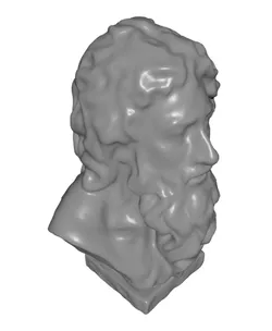 Bust