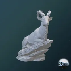 GOAT DECOR