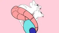 Rats