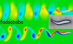 Saithe Fish (For CFD)