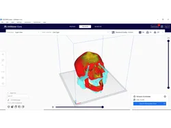 skull