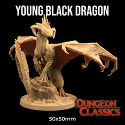 Young Black Dragon | PRESUPPORTED | Dungeon Classics