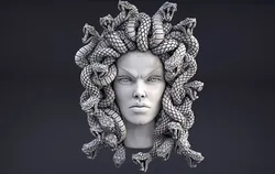 High Detailed Medusa Head