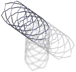 Stent or Frame