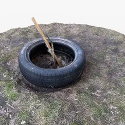 Photorealistic 3D scan of a tire planter for a tree saplin Low-poly 3D model