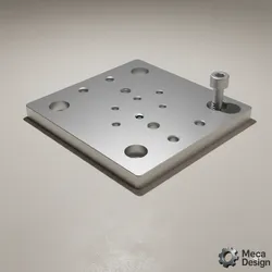 Plate with screws