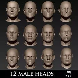 12 Male Heads 3D model