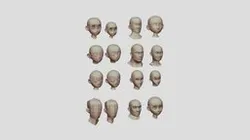 2 Pack of Female and Male heads with 10 eyebrows