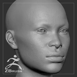 Average Black Female Head Basemesh 3D model