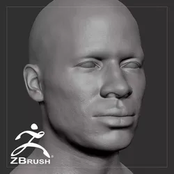 Average Black Male Head Basemesh 3D model