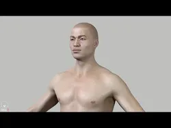 Average Human Body Collection 3D Model Pack