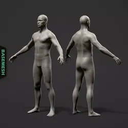 Average Male Body Basemesh 3D model