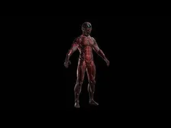 Cyborg Robot character - highpoly and lowpoly Low-poly 3D model