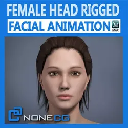 Adult Female Head Rigged 3D model