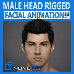 Adult Male Head Rigged 3D model
