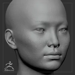 Average Asian Female Head Basemesh  3D model