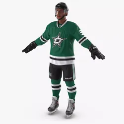 Hockey Player Stars 3D model