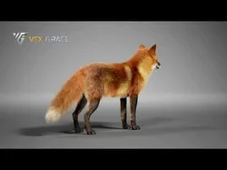 Red Fox  UE Character Asset 3D model