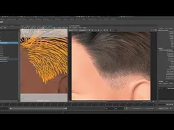 Xgen Grooming for Jordan project with all files 3D model