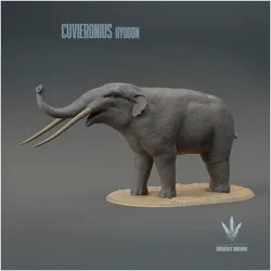 Cuvieronius hyodon : Vocalizing