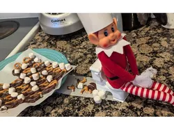 Elf on the Shelf Toilet and Plunger