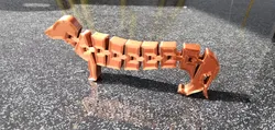 Flexi Dachshund