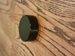 Hockey Puck