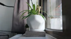 Levetating Plant Pot