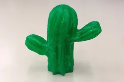 Mexican Cactus