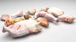 Chicken Meats Collection