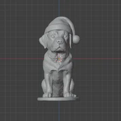 Labrador retriever