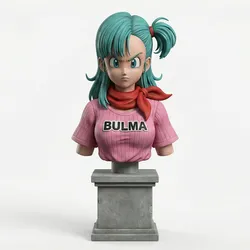 Bulma DB Bust