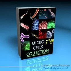 Micro cells models collection 3D model