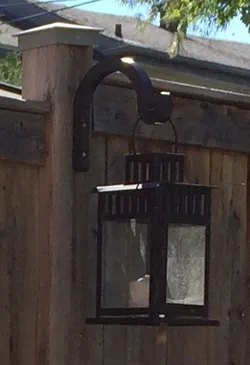 Hanging Plant Hook