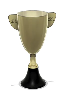 #1 Award/Trophy