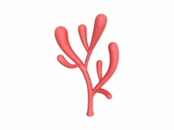 Coral