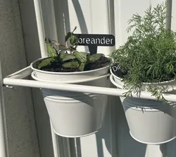 Customizable easy (plant) signs