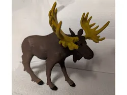 Moose