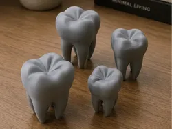 Set de modelos dentales | Educativo para dentistas - Modelo de impresión 3D gratuito