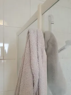 Shower hanger
