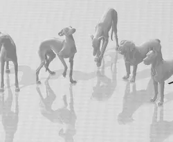 dogs 1/64
