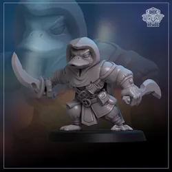 Duck Shadow Blade Rogue