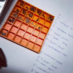 Sorting Tray