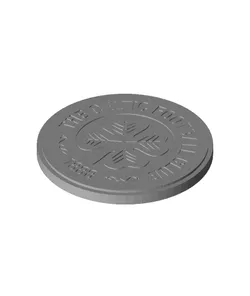 Concave The Celtic Football Club coaster or plaque