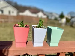 Self-Watering Planter