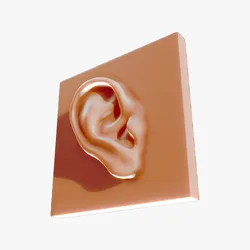 Ear Reference for Artists