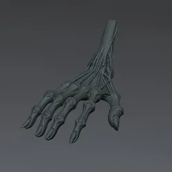 HAND