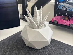 Maceta geométrica para Aloe | Suculenta moderna para escritorio - Modelo de impresión 3D gratuito