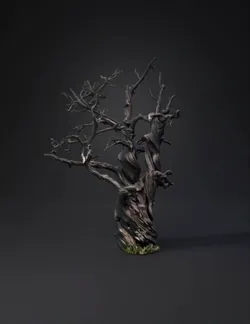 dead tree with twisted branches and weathered bark