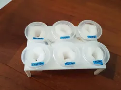 Hydroponic netpod germination stand